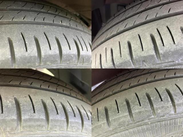 �u���̎Ԃ̎ʐ^�������ƌ������v�u��Ԃ��C�ɂȂ�v�u���̑����͂��Ă���H�v�ǂ�ȏ����ȋ^��ł����C�y�ɂ��₢���킹���������I