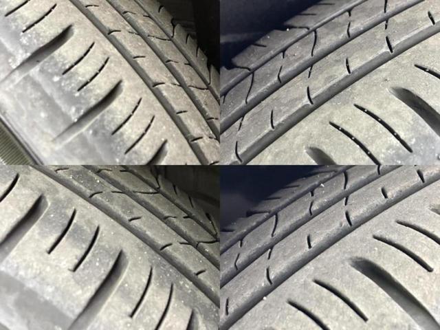 �u���̎Ԃ̎ʐ^�������ƌ������v�u��Ԃ��C�ɂȂ�v�u���̑����͂��Ă���H�v�ǂ�ȏ����ȋ^��ł����C�y�ɂ��₢���킹���������I