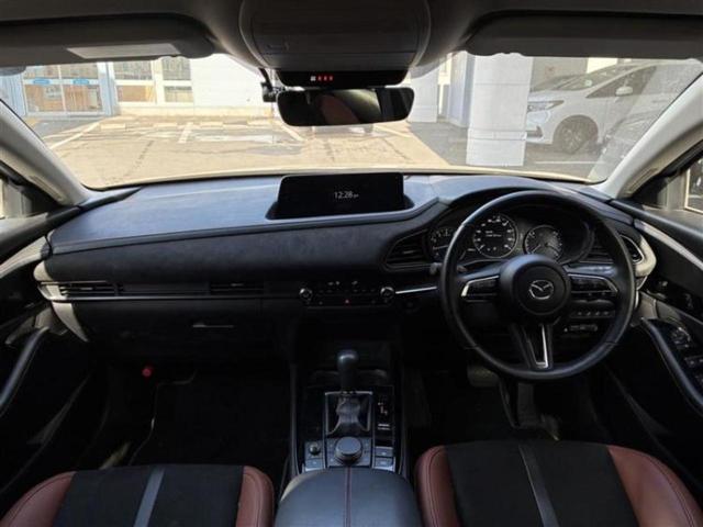 �u���̎Ԃ̎ʐ^�������ƌ������v�u��Ԃ��C�ɂȂ�v�u���̑����͂��Ă���H�v�ǂ�ȏ����ȋ^��ł����C�y�ɂ��₢���킹���������I