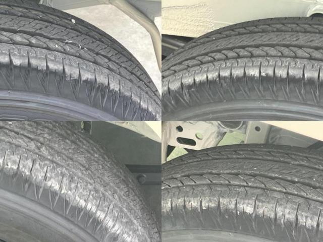 �u���̎Ԃ̎ʐ^�������ƌ������v�u��Ԃ��C�ɂȂ�v�u���̑����͂��Ă���H�v�ǂ�ȏ����ȋ^��ł����C�y�ɂ��₢���킹���������I