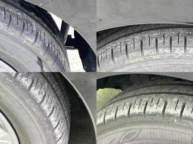 �u���̎Ԃ̎ʐ^�������ƌ������v�u��Ԃ��C�ɂȂ�v�u���̑����͂��Ă���H�v�ǂ�ȏ����ȋ^��ł����C�y�ɂ��₢���킹���������I