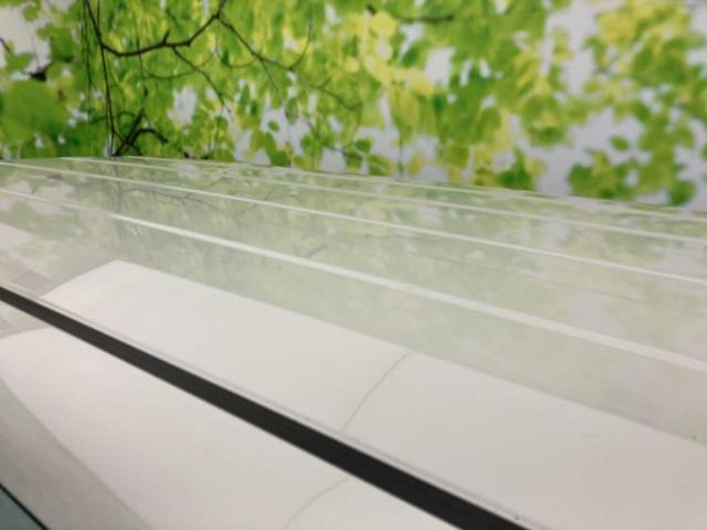 ハスラー ハイブリッドG 保証書/純正 9インチ メモリーナビ/セーフティサポート(スズキ)/シートヒーター 前席/全方位モニター/登録済未使用車/ヘッドランプ LED/USBジャック/Bluetooth接続 全周囲カメラ(40枚目)