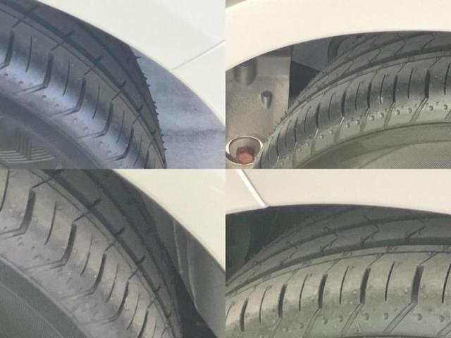 �u���̎Ԃ̎ʐ^�������ƌ������v�u��Ԃ��C�ɂȂ�v�u���̑����͂��Ă���H�v�ǂ�ȏ����ȋ^��ł����C�y�ɂ��₢���킹���������I