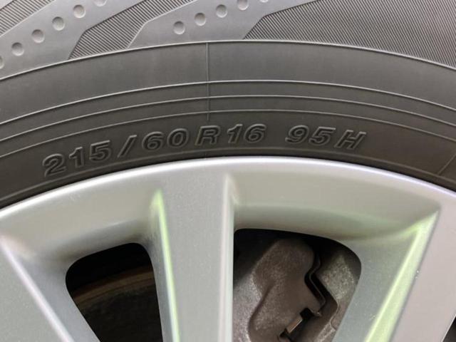 �u���̎Ԃ̎ʐ^�������ƌ������v�u��Ԃ��C�ɂȂ�v�u���̑����͂��Ă���H�v�ǂ�ȏ����ȋ^��ł����C�y�ɂ��₢���킹���������I