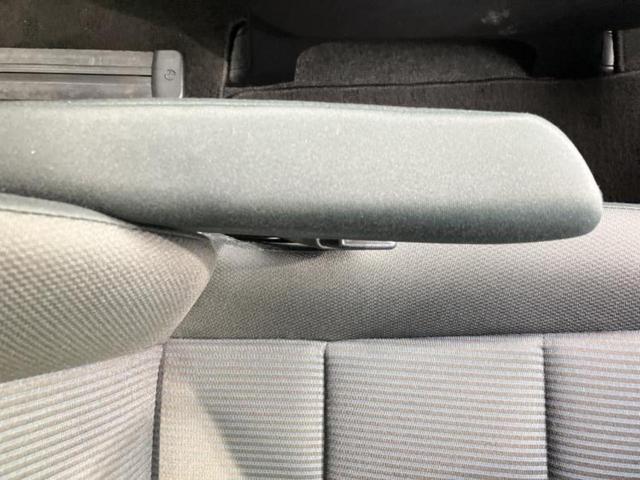 �u���̎Ԃ̎ʐ^�������ƌ������v�u��Ԃ��C�ɂȂ�v�u���̑����͂��Ă���H�v�ǂ�ȏ����ȋ^��ł����C�y�ɂ��₢���킹���������I