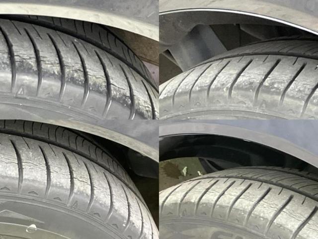 �u���̎Ԃ̎ʐ^�������ƌ������v�u��Ԃ��C�ɂȂ�v�u���̑����͂��Ă���H�v�ǂ�ȏ����ȋ^��ł����C�y�ɂ��₢���킹���������I