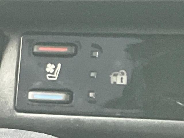 �u���̎Ԃ̎ʐ^�������ƌ������v�u��Ԃ��C�ɂȂ�v�u���̑����͂��Ă���H�v�ǂ�ȏ����ȋ^��ł����C�y�ɂ��₢���킹���������I