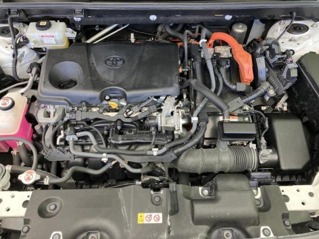 �S���ɓX�܂�W�J���Ă���̂łǂ��ł������񂹂��\�ł��I���̎Ԃ��C�ɂȂ邯�ǉ���������E�E�E�ƒ��߂�K�v�͂���܂���I���ʓr������K�v�ł��B