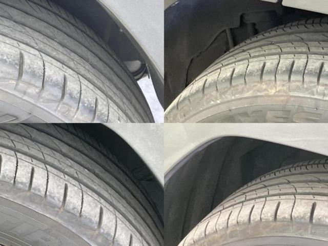 �u���̎Ԃ̎ʐ^�������ƌ������v�u��Ԃ��C�ɂȂ�v�u���̑����͂��Ă���H�v�ǂ�ȏ����ȋ^��ł����C�y�ɂ��₢���킹���������I