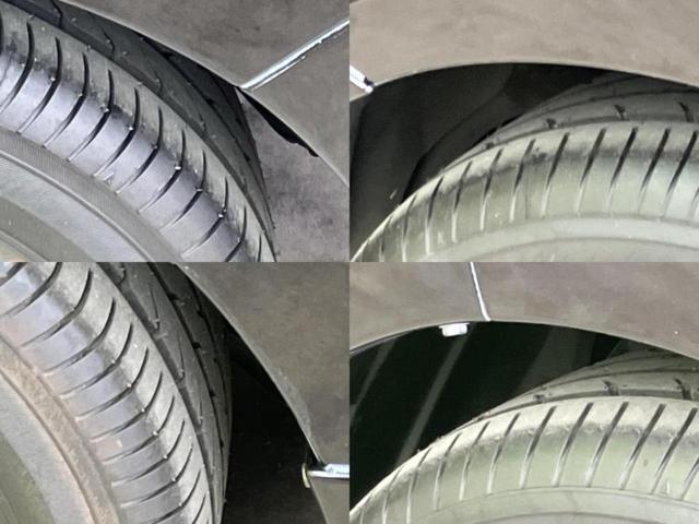 �u���̎Ԃ̎ʐ^�������ƌ������v�u��Ԃ��C�ɂȂ�v�u���̑����͂��Ă���H�v�ǂ�ȏ����ȋ^��ł����C�y�ɂ��₢���킹���������I