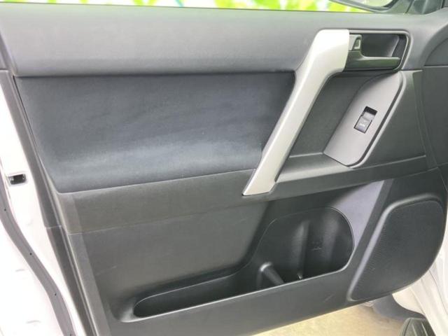 �u���̎Ԃ̎ʐ^�������ƌ������v�u��Ԃ��C�ɂȂ�v�u���̑����͂��Ă���H�v�ǂ�ȏ����ȋ^��ł����C�y�ɂ��₢���킹���������I