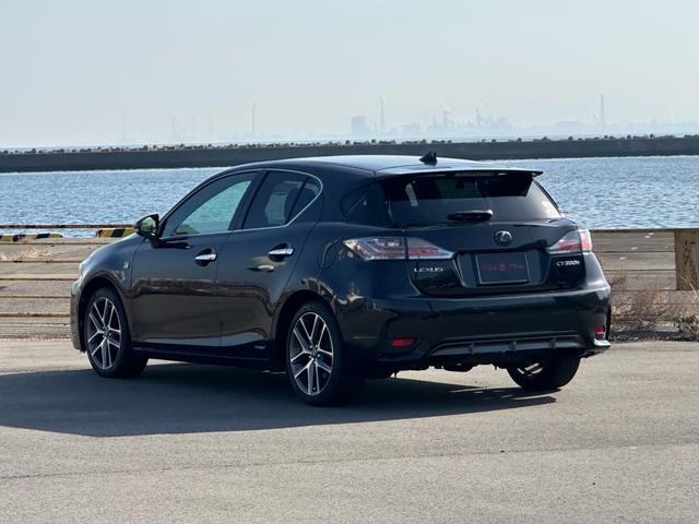 ���Ԍ��ߘa�W�N�V�����{�f�B�J���[�F�O���t�@�C�g�u���b�N�K���X�t���[�N�����S�Q�N�ۏ؉�����