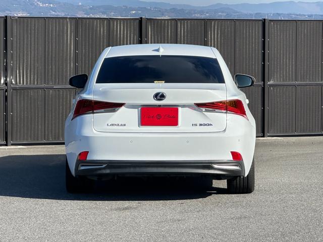 ���n�o�u���C���h�X�|�b�g���j�^�[�������N���X�g���t�B�b�N�A���[�g���n�o�N���A�����X�\�i�[���o�b�N�K�C�h���j�^�[��