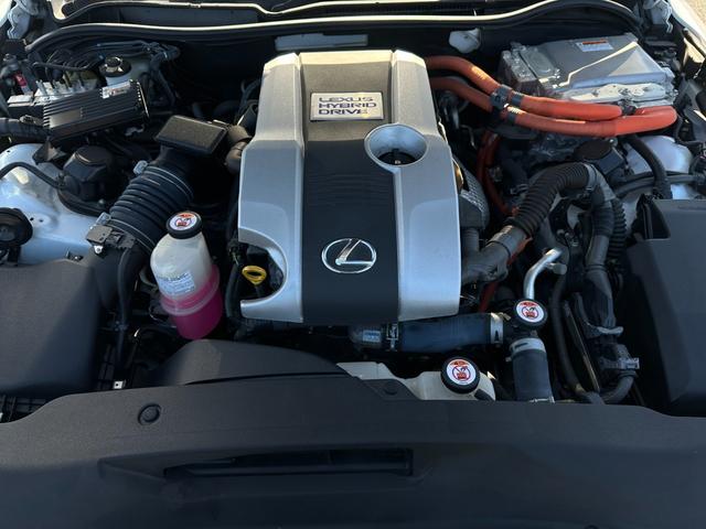 ���ʐ^�����ł͂��̎Ԃ̑f���炵����`������܂���I���񓖓X�֑������^�щ������I���ۂɌ��āA�G��Α喞���ԈႢ�i�V�ł���