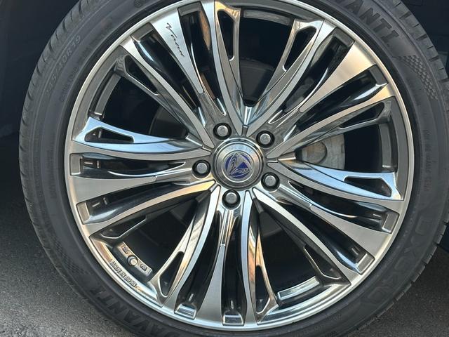 ���ʐ^�����ł͂��̎Ԃ̑f���炵����`������܂���I���񓖓X�֑������^�щ������I���ۂɌ��āA�G��Α喞���ԈႢ�i�V�ł���