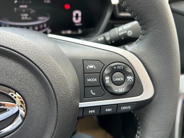 ロッキー プレミアムＧ　新車・９インチナビ・バックモニター（22枚目）