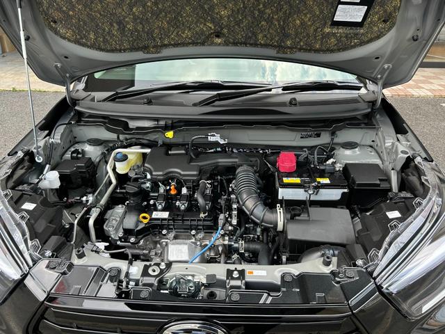 ロッキー プレミアムＧ　新車・９インチナビ・バックモニター（33枚目）