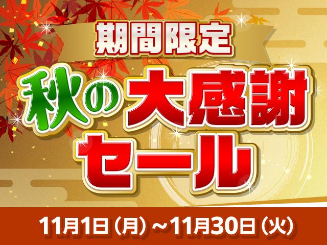 2.0i /ナビ フルセグTV バックカメラ ETC キセノンライト キーレス 社外16インチAW 7人乗り(3枚目)