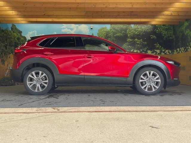 ＣＸ－３０ ＸＤ　Ｌパッケージ　禁煙車　８．８インチメーカーナビ　スマートブレーキサポート　レーダークルーズ　ブラインドスポットモニター　バックカメラ　パワーバックドア　ブラウンレザーシート　ＬＥＤヘッド　シートヒーター　ＥＴＣ（49枚目）