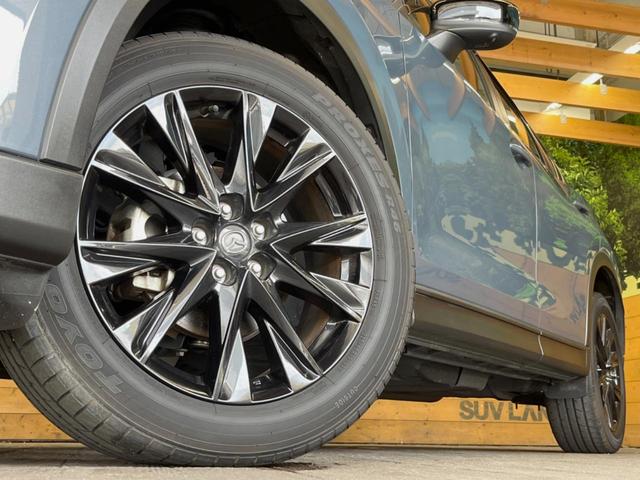 ＣＸ－５ ＸＤ　ブラックトーンエディション　禁煙車　１０．２５インチマツダコネクト　全周囲カメラ　ＢＯＳＥサウンド　衝突軽減　レーダークルーズ　ハーフレザーシート　グレード専用１９インチアルミ　パワーバックドア　ＬＥＤヘッド　スマートキー（13枚目）