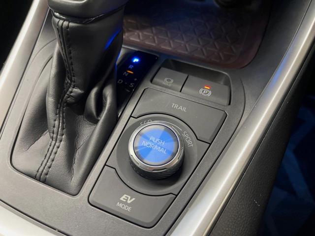 ＲＡＶ４ ハイブリッドＧ　禁煙車　純正９インチナビ　バックカメラ　セーフティセンス　レーダークルーズ　ブラインドスポットモニター　デジタルインナーミラー　パワーバックドア　シートヒーター　純正１８インチアルミ　ＥＴＣ（33枚目）