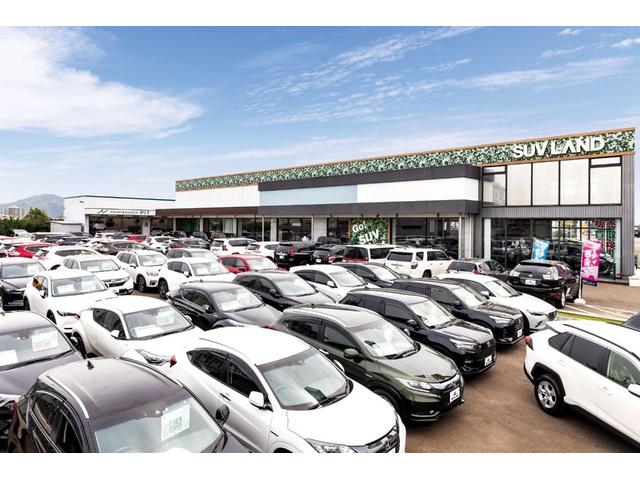 ＲＡＶ４ ハイブリッドＧ　禁煙車　純正９インチナビ　バックカメラ　セーフティセンス　レーダークルーズ　ブラインドスポットモニター　デジタルインナーミラー　パワーバックドア　シートヒーター　純正１８インチアルミ　ＥＴＣ（80枚目）