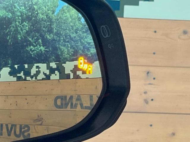 アルファード Z 純正14インチナビ モデリスタエアロ ガラスルーフ 全周囲カメラ トヨタセーフティセンス 両側電動スライド フリップダウンモニター 3眼LEDヘッド 合皮シート シートベンチレーション(55枚目)