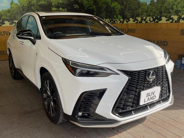 ＮＸ ＮＸ３５０ｈ　Ｆスポーツ　サンルーフ　１４型ディスプレイオーディオ　全周囲カメラ　レーダークルーズ　パワーシート　パワーバックドア　シートベンチレーション　シートメモリー　三眼ＬＥＤヘッド　ＥＴＣ　ブラインドスポットモニター（18枚目）