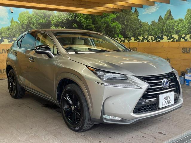ＮＸ ＮＸ３００ｈ　アーバンスタイル　純正ナビ　バックカメラ　レーダークルーズ　禁煙車　パワーシート　パワーバックドア　シートヒーター　三眼ＬＥＤヘッド　クリアランスソナー　車線逸脱警報　ＥＴＣ　Ｂｌｕｅｔｏｏｔｈ　スマートキー（17枚目）