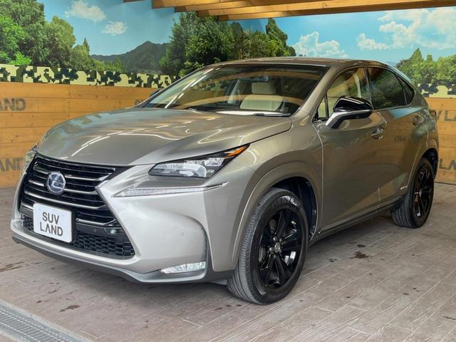 ＮＸ ＮＸ３００ｈ　アーバンスタイル　純正ナビ　バックカメラ　レーダークルーズ　禁煙車　パワーシート　パワーバックドア　シートヒーター　三眼ＬＥＤヘッド　クリアランスソナー　車線逸脱警報　ＥＴＣ　Ｂｌｕｅｔｏｏｔｈ　スマートキー（48枚目）