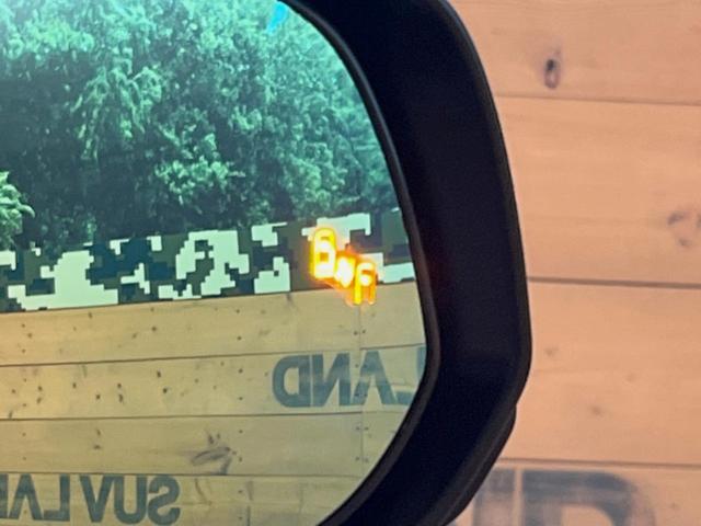 アルファードハイブリッド Z ムーンルーフ 14型ディスプレイオーディオ 全周囲カメラ レーダークルーズ フリップダウンモニター デジタルインナーミラー シートベンチレーション メモリーシート パワーバックドア ETC(29枚目)