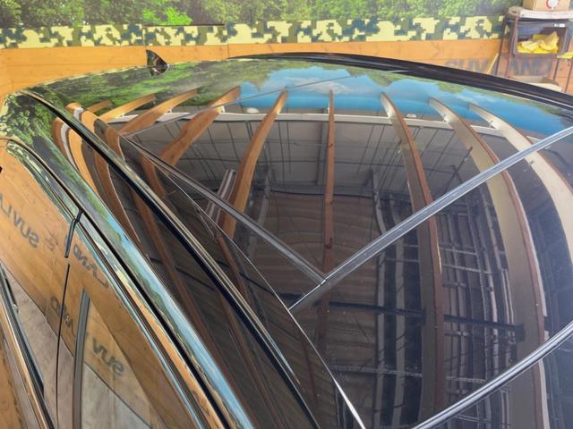 NX NX350h Fスポーツ 禁煙車 パノラマサンルーフ 純正14インチディスプレイオーディオ 全周囲カメラ マークレビンソンプレミアムサウンドシステム セーフティセンスプラス デジタルインナーミラー ハンズフリーパワーバックドア(44枚目)