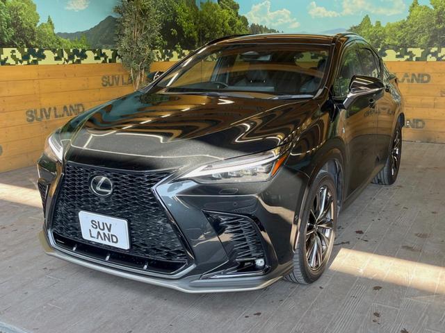 NX NX350h Fスポーツ 禁煙車 パノラマサンルーフ 純正14インチディスプレイオーディオ 全周囲カメラ マークレビンソンプレミアムサウンドシステム セーフティセンスプラス デジタルインナーミラー ハンズフリーパワーバックドア(50枚目)