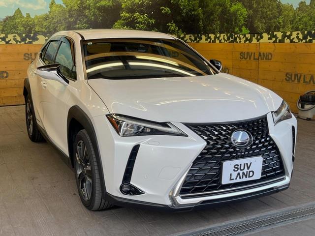 ＵＸ ＵＸ２５０ｈ　バージョンＬ　禁煙車　純正１０．３型ナビ　全周囲カメラ　セーフティシステムプラス　シートベンチレーション　ブラインドスポットモニター　メモリー機能付きパワーシート　ハンズフリーパワーバックドア　純正１８インチアルミ（17枚目）