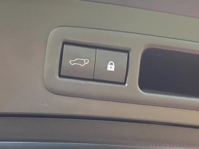 ＵＸ ＵＸ２５０ｈ　バージョンＬ　禁煙車　純正１０．３型ナビ　全周囲カメラ　セーフティシステムプラス　シートベンチレーション　ブラインドスポットモニター　メモリー機能付きパワーシート　ハンズフリーパワーバックドア　純正１８インチアルミ（30枚目）