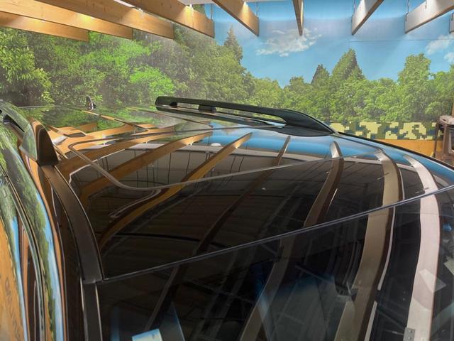ランドクルーザープラド ＴＸ　Ｌパッケージ　マットブラックエディション　禁煙車　サンルーフ　ディーゼル　純正９型ディスプレイオーディオ　全周囲カメラ　レーダークルーズコントロール　シートベンチレーション　パワーシート　ＬＥＤヘッド　ＥＴＣ　セーフティセンス　黒革シート（31枚目）