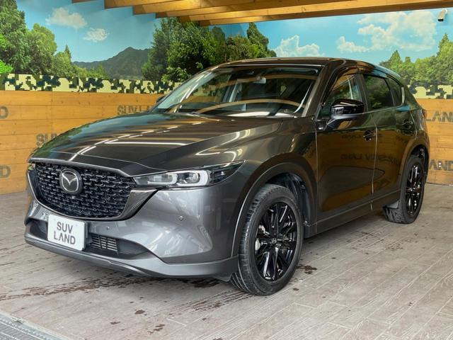 ＣＸ－５ ＸＤ　ブラックトーンエディション　１０．２５インチマツダコネクト　全周囲カメラ　衝突軽減　レーダークルーズ　ブラインドスポットモニター　パワーバックドア　ハーフレザーシート　グレード専用１９インチアルミ　ＬＥＤヘッド　スマートキー（48枚目）