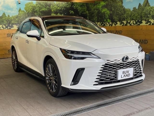 ＲＸ ＲＸ３５０ｈ　バージョンＬ　サンルーフ　１４型ディスプレイオーディオ　全周囲カメラ　レーダークルーズ　マークレビンソン　禁煙車　デジタルインナーミラー　シートベンチレーション　ブラインドスポットモニター　ＥＴＣ　三眼ＬＥＤヘッド（17枚目）