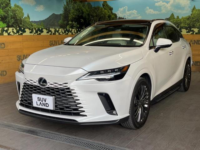 ＲＸ ＲＸ３５０ｈ　バージョンＬ　サンルーフ　１４型ディスプレイオーディオ　全周囲カメラ　レーダークルーズ　マークレビンソン　禁煙車　デジタルインナーミラー　シートベンチレーション　ブラインドスポットモニター　ＥＴＣ　三眼ＬＥＤヘッド（54枚目）