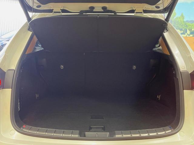 ＮＸ ＮＸ２５０　バージョンＬ　サンルーフ　１４型ディスプレイオーディオ　全周囲カメラ　レーダークルーズ　禁煙車　デジタルインナーミラー　ブラインドスポットモニター　ＥＴＣ　三眼ＬＥＤヘッド　シートベンチレーション　パワーバックドア（11枚目）