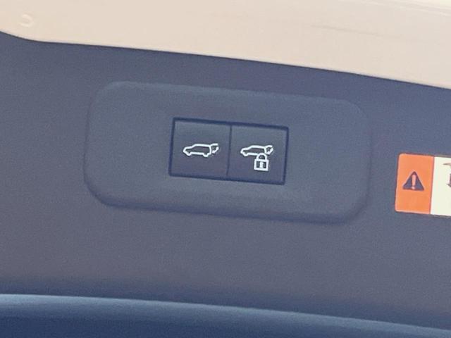 ＮＸ ＮＸ２５０　バージョンＬ　サンルーフ　１４型ディスプレイオーディオ　全周囲カメラ　レーダークルーズ　禁煙車　デジタルインナーミラー　ブラインドスポットモニター　ＥＴＣ　三眼ＬＥＤヘッド　シートベンチレーション　パワーバックドア（24枚目）