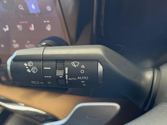 ＮＸ ＮＸ２５０　バージョンＬ　サンルーフ　１４型ディスプレイオーディオ　全周囲カメラ　レーダークルーズ　禁煙車　デジタルインナーミラー　ブラインドスポットモニター　ＥＴＣ　三眼ＬＥＤヘッド　シートベンチレーション　パワーバックドア（38枚目）