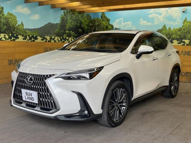 ＮＸ ＮＸ２５０　バージョンＬ　サンルーフ　１４型ディスプレイオーディオ　全周囲カメラ　レーダークルーズ　禁煙車　デジタルインナーミラー　ブラインドスポットモニター　ＥＴＣ　三眼ＬＥＤヘッド　シートベンチレーション　パワーバックドア（47枚目）