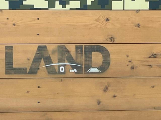 ＮＸ ＮＸ２５０　バージョンＬ　サンルーフ　１４型ディスプレイオーディオ　全周囲カメラ　レーダークルーズ　禁煙車　デジタルインナーミラー　ブラインドスポットモニター　ＥＴＣ　三眼ＬＥＤヘッド　シートベンチレーション　パワーバックドア（48枚目）