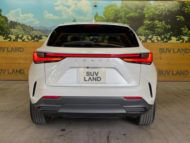 ＮＸ ＮＸ２５０　バージョンＬ　サンルーフ　１４型ディスプレイオーディオ　全周囲カメラ　レーダークルーズ　禁煙車　デジタルインナーミラー　ブラインドスポットモニター　ＥＴＣ　三眼ＬＥＤヘッド　シートベンチレーション　パワーバックドア（52枚目）