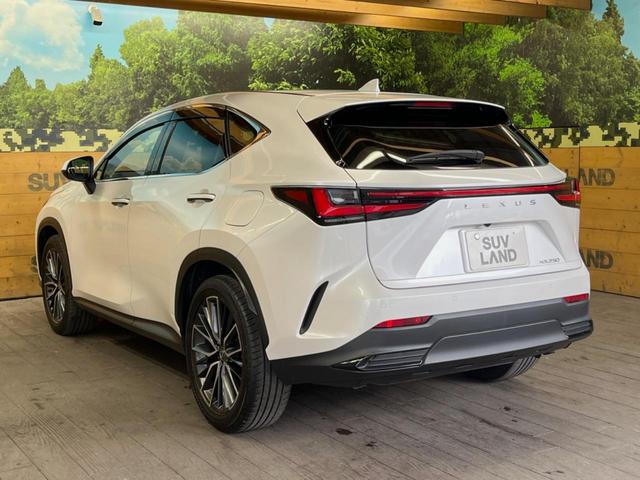 ＮＸ ＮＸ２５０　バージョンＬ　サンルーフ　１４型ディスプレイオーディオ　全周囲カメラ　レーダークルーズ　禁煙車　デジタルインナーミラー　ブラインドスポットモニター　ＥＴＣ　三眼ＬＥＤヘッド　シートベンチレーション　パワーバックドア（53枚目）