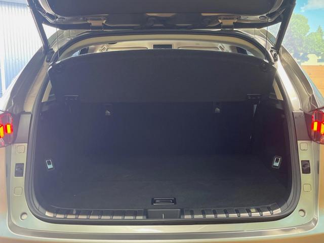 ＮＸ ＮＸ３００　Ｉパッケージ　禁煙車　純正１０．３インチメーカーナビ　全周囲カメラ　プリクラッシュセーフティ　レーダークルーズ　ブラインドスポットモニター　パワーバックドア　シートヒーター　三眼ＬＥＤヘッドランプ　シートヒーター（11枚目）