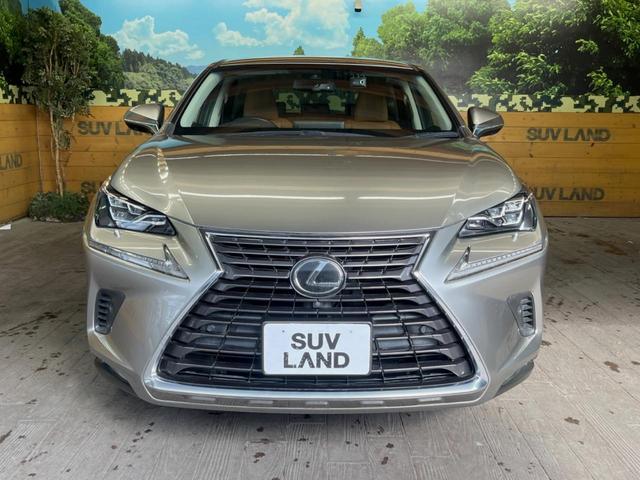 ＮＸ ＮＸ３００　Ｉパッケージ　禁煙車　純正１０．３インチメーカーナビ　全周囲カメラ　プリクラッシュセーフティ　レーダークルーズ　ブラインドスポットモニター　パワーバックドア　シートヒーター　三眼ＬＥＤヘッドランプ　シートヒーター（15枚目）