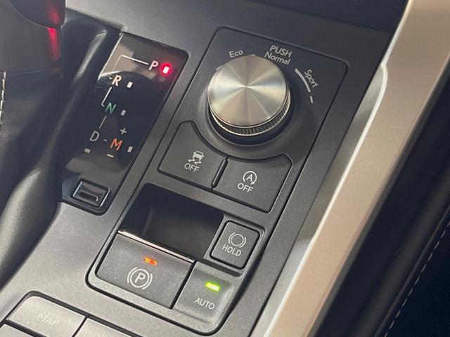 ＮＸ ＮＸ３００　Ｉパッケージ　禁煙車　純正１０．３インチメーカーナビ　全周囲カメラ　プリクラッシュセーフティ　レーダークルーズ　ブラインドスポットモニター　パワーバックドア　シートヒーター　三眼ＬＥＤヘッドランプ　シートヒーター（46枚目）