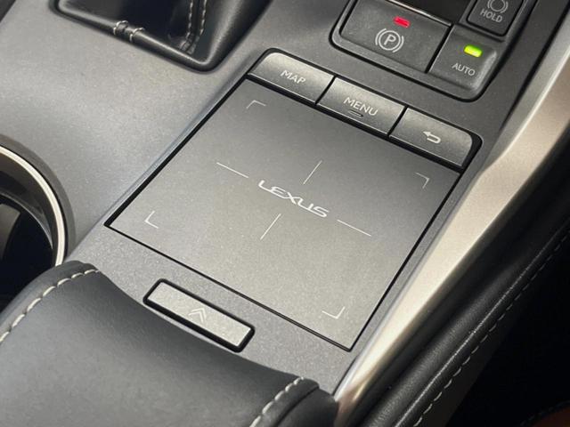 ＮＸ ＮＸ３００　Ｉパッケージ　禁煙車　純正１０．３インチメーカーナビ　全周囲カメラ　プリクラッシュセーフティ　レーダークルーズ　ブラインドスポットモニター　パワーバックドア　シートヒーター　三眼ＬＥＤヘッドランプ　シートヒーター（47枚目）